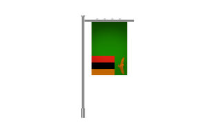 3d 赞比亚站立旗