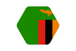 赞比亚国旗矢量插图