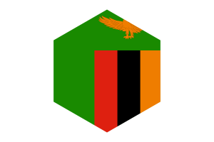 赞比亚国旗六边形
