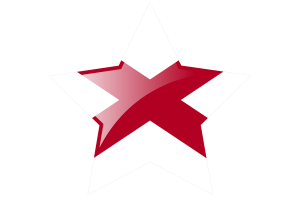 阿拉巴马州国旗星图标