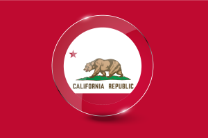加州国旗光泽圆形按钮