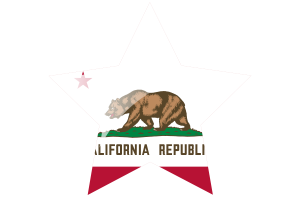 加州国旗星图标