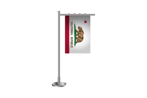 3d 加州站旗