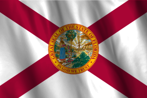 佛罗里达州的国家旗