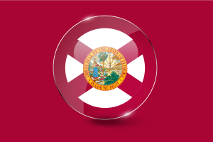 佛罗里达国旗光泽圆形按钮