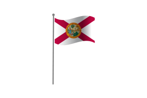 挥舞着佛罗里达国旗