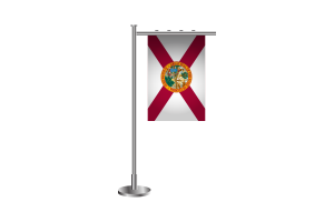 3d 佛罗里达站立旗