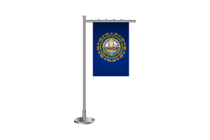 3d 新罕布什尔州站旗