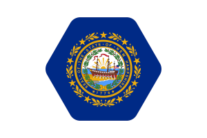 新罕布什尔州国旗矢量插图