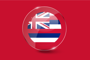 夏威夷国旗光泽圆形按钮