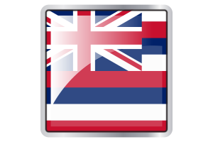 夏威夷国旗广场图标