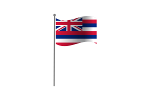 挥舞着夏威夷国旗