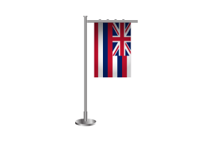 3d 夏威夷站立旗