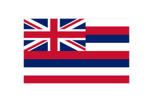 夏威夷国旗三角形矢量插图