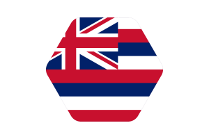 夏威夷国旗矢量插图