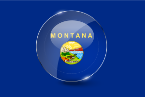 蒙大拿州国旗光泽圆形按钮