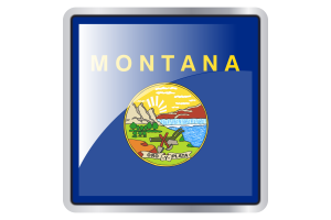 蒙大拿州旗帜广场图标