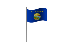 挥舞着蒙大拿州的旗帜