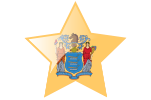 新泽西州国旗星图标