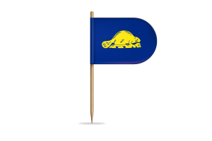 俄勒冈州反向旗帜桌旗
