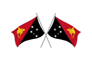 巴布亚新几内亚挥舞友谊旗帜