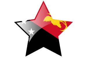 巴布亚新几内亚国旗星图标