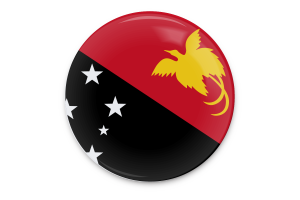 巴布亚新几内亚国旗矢量艺术