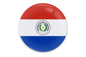 巴拉圭国旗矢量艺术