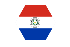 巴拉圭国旗矢量免费 |SVG 和 PNG