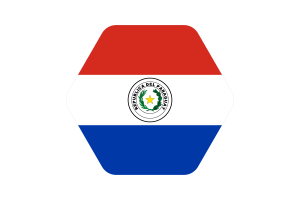 巴拉圭国旗矢量插图