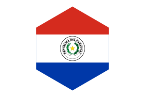 巴拉圭国旗六边形