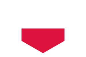 波兰国旗六边形