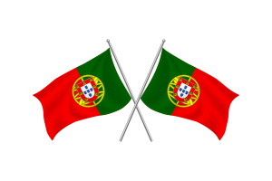 葡萄牙挥舞友谊旗帜