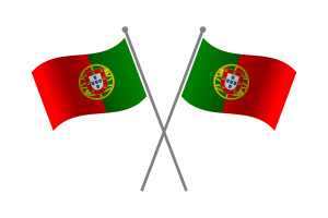 葡萄牙友谊旗帜