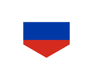 俄罗斯国旗六边形