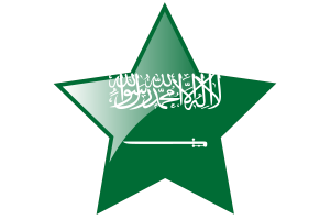 沙特阿拉伯国旗星图标