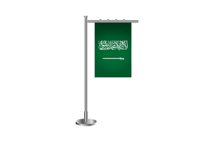 3d 沙特阿拉伯站旗