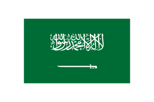 沙特阿拉伯国旗三角形矢量插图