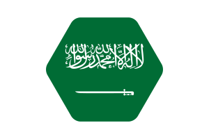 沙特阿拉伯国旗矢量插图