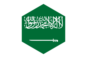 沙特阿拉伯国旗六边形