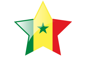 塞内加尔国旗星图标