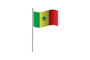 挥舞着塞内加尔国旗