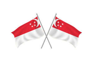 新加坡挥舞友谊旗帜