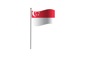 挥舞着新加坡国旗