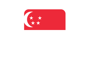 新加坡国旗方形圆形