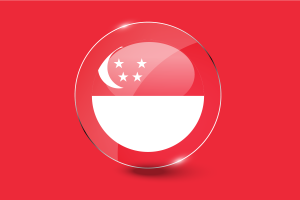 新加坡国旗光泽圆形按钮