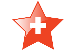 瑞士国旗星图标