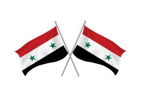 叙利亚挥舞友谊旗帜