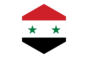 叙利亚国旗六边形