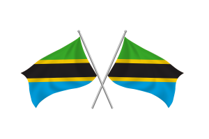坦桑尼亚挥舞友谊旗帜